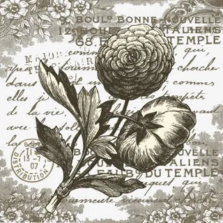 手绘欧美复古书信和花免抠