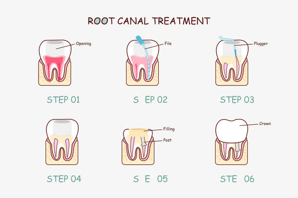 卡通牙齿矢量图免抠标签元素