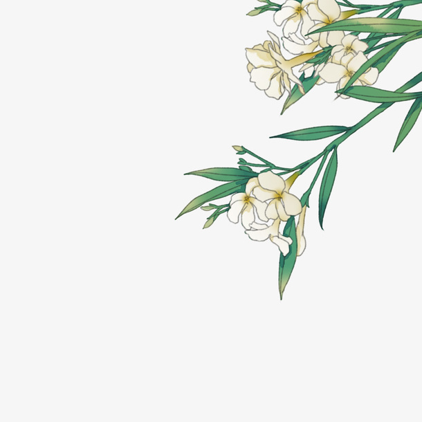 清新小花卡通插画22免抠