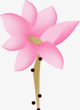 手绘紫色花朵花瓣荷叶免抠