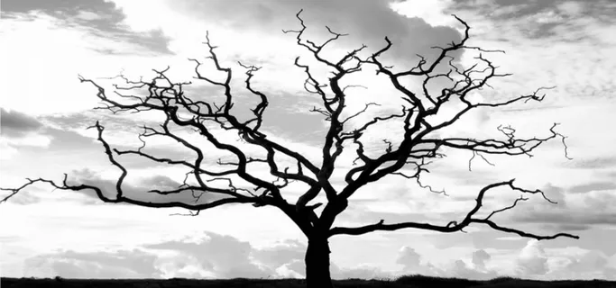 淘宝背景图高清