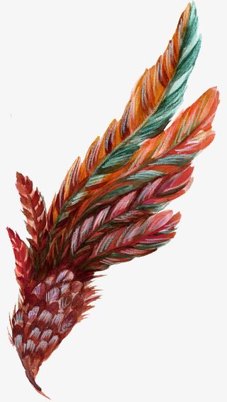 橘色羽毛树叶免抠