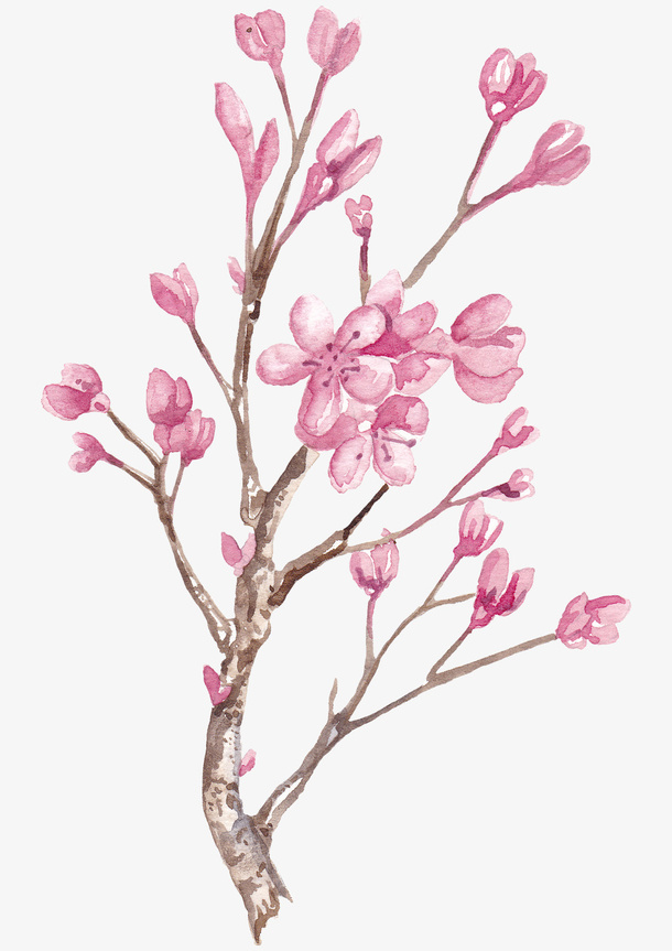 一支手绘的桃花素材免抠
