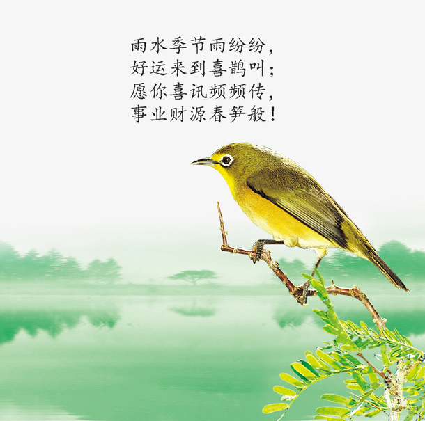 免抠卡通手绘树枝上站立的鸟免抠