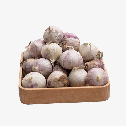 圆形大蒜免抠
