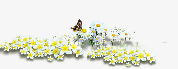 春天黄白色雏菊装饰免抠