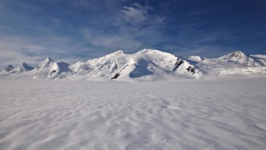 白色雪景浪漫寒冷免抠