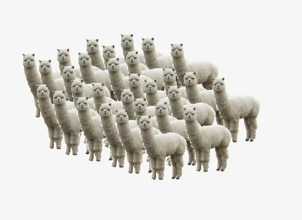 一群*素材图片免抠