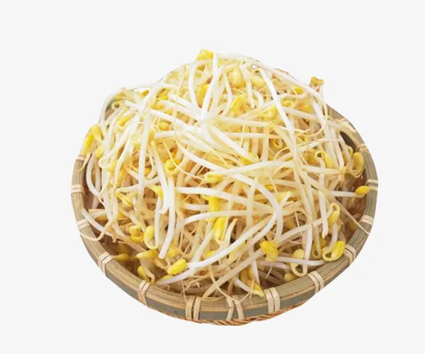 家常菜黄豆芽食材免抠