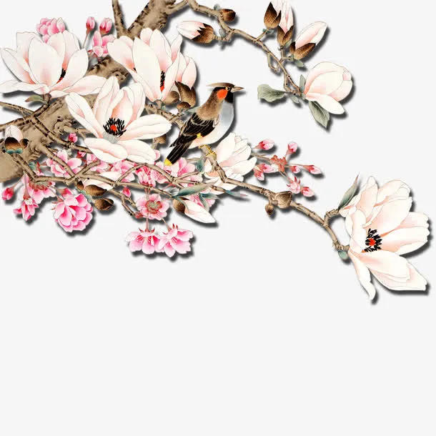 喜上枝头免抠