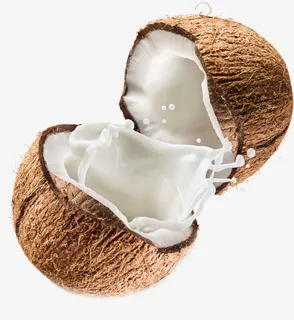 飞溅裂开的椰奶png（719×782）免抠