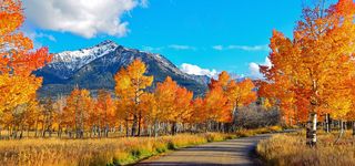 山间小路背景图高清