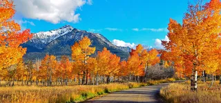 山间小路背景图高清