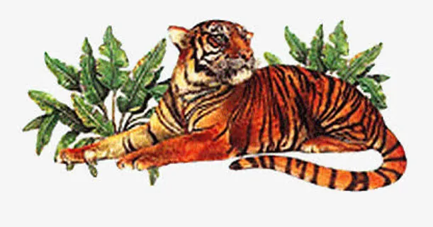 卡通老虎仔免抠