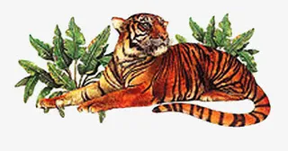 卡通老虎仔免抠