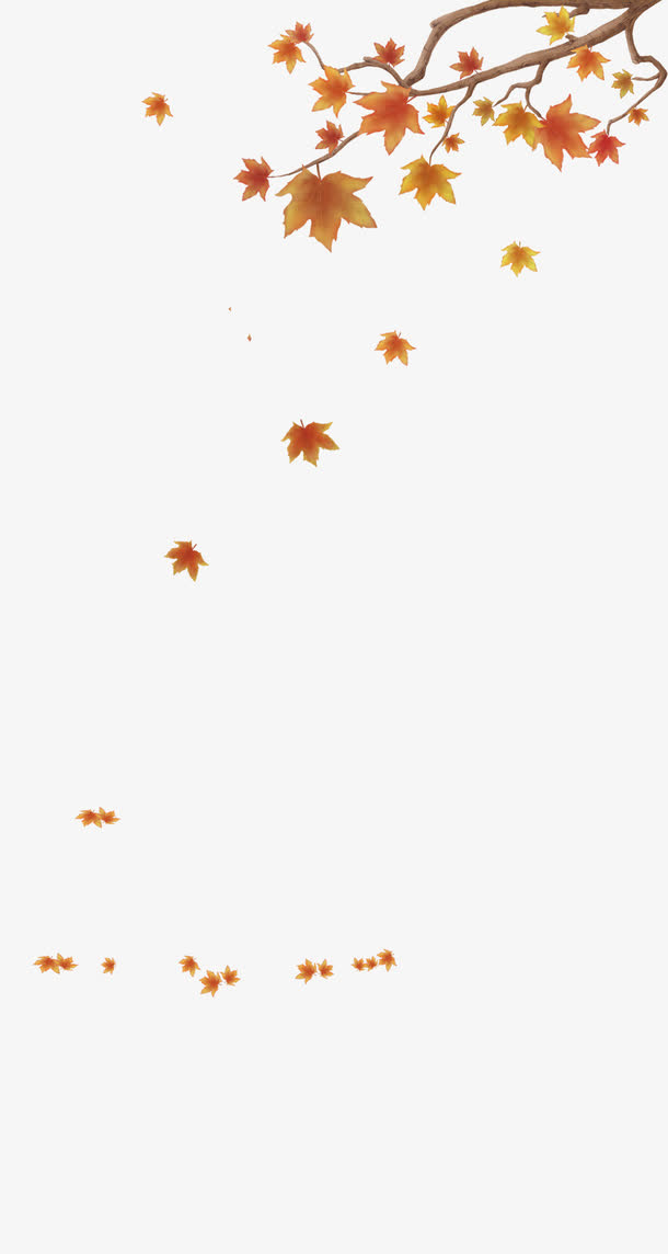 枫叶树枝免抠漂浮叶子元素