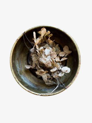 碗里的干花树枝免抠