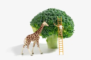 西蓝花长颈鹿与人免抠