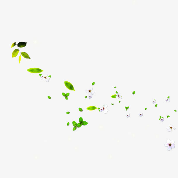 漂浮树叶小花免抠