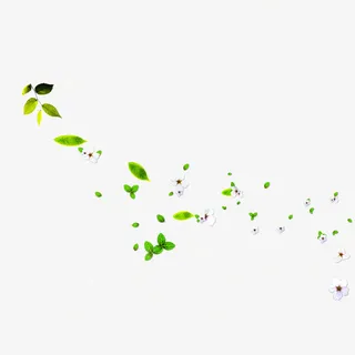 漂浮树叶小花免抠