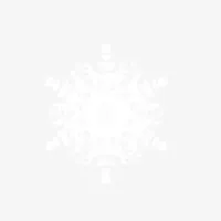 白雪免抠