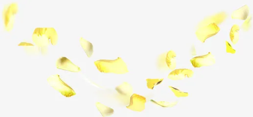 黄色梦幻创意花瓣装饰免抠