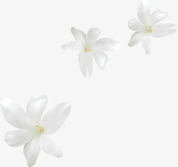 花卉免抠