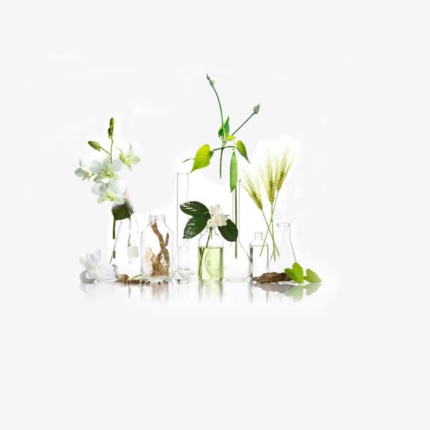 植物花卉瓶子免抠