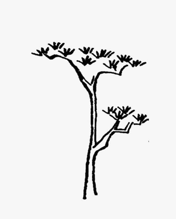 抠图材料免抠