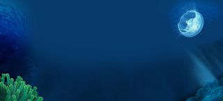 海底世界背景banner装饰高清