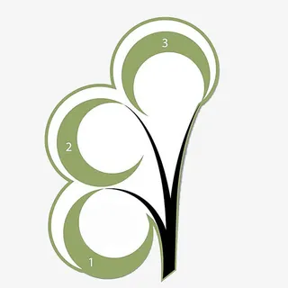 绿色树枝PPT装饰免抠