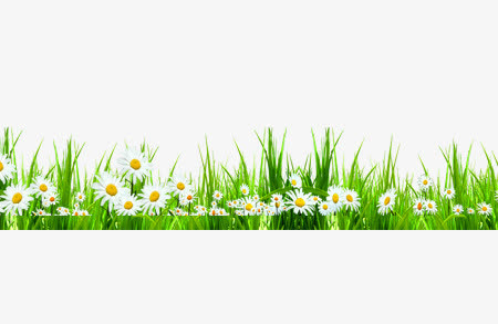 青草小花免抠