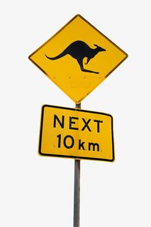 10公里后有袋鼠三角形黄色警告免抠