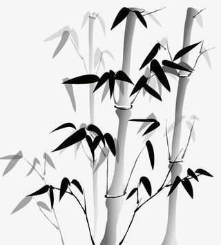 水墨竹子免抠