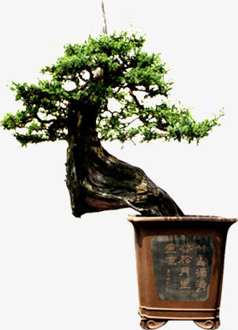 中国风古典树枝角度免抠