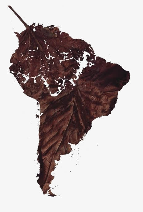 非洲免抠