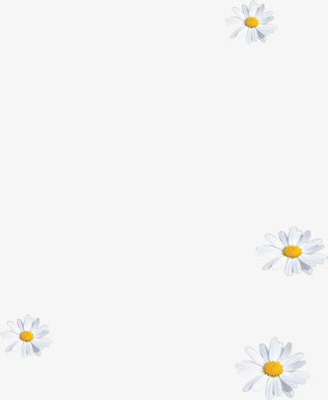 春天清新白色雏菊免抠