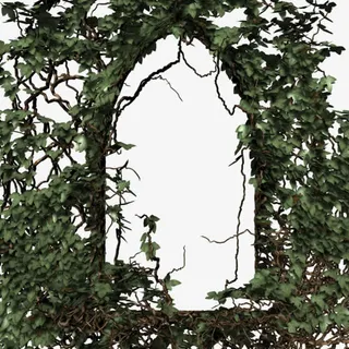 爬满植物的门png素材免抠