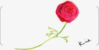 手绘玫瑰花 一朵玫瑰png素材免抠