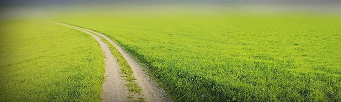 绿色道路背景高清