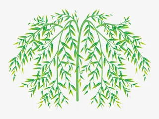 绿色春季柳树枝条免抠