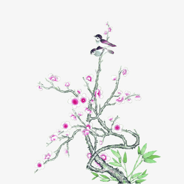 古风树枝白花小鸟免抠