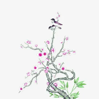 古风树枝白花小鸟免抠