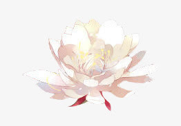手绘唯美白色鲜花免抠