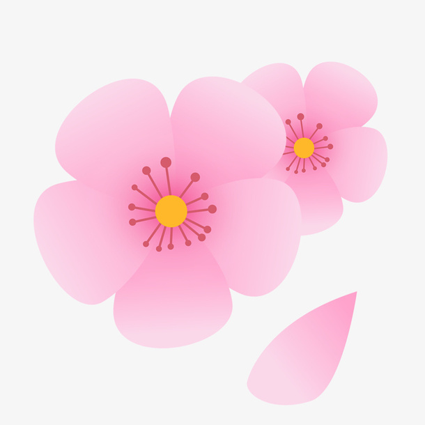 矢量清新花瓣花朵花卉桃花素材免抠