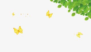 春天绿色树叶元素免抠