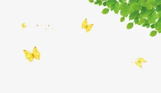 春天绿色树叶元素免抠