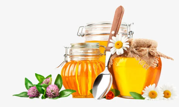 蜂蜜花朵海报素材免抠