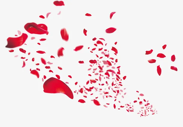 玫瑰花瓣免抠