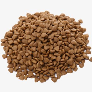 一堆零散狗粮免抠